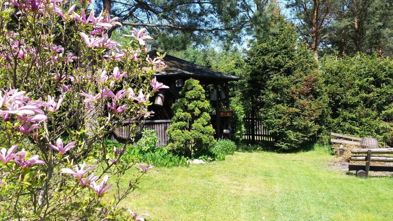 Domek Letniskowy Na Kaszubach Lub Apartament Z Kominkiem Puck Bagian luar foto