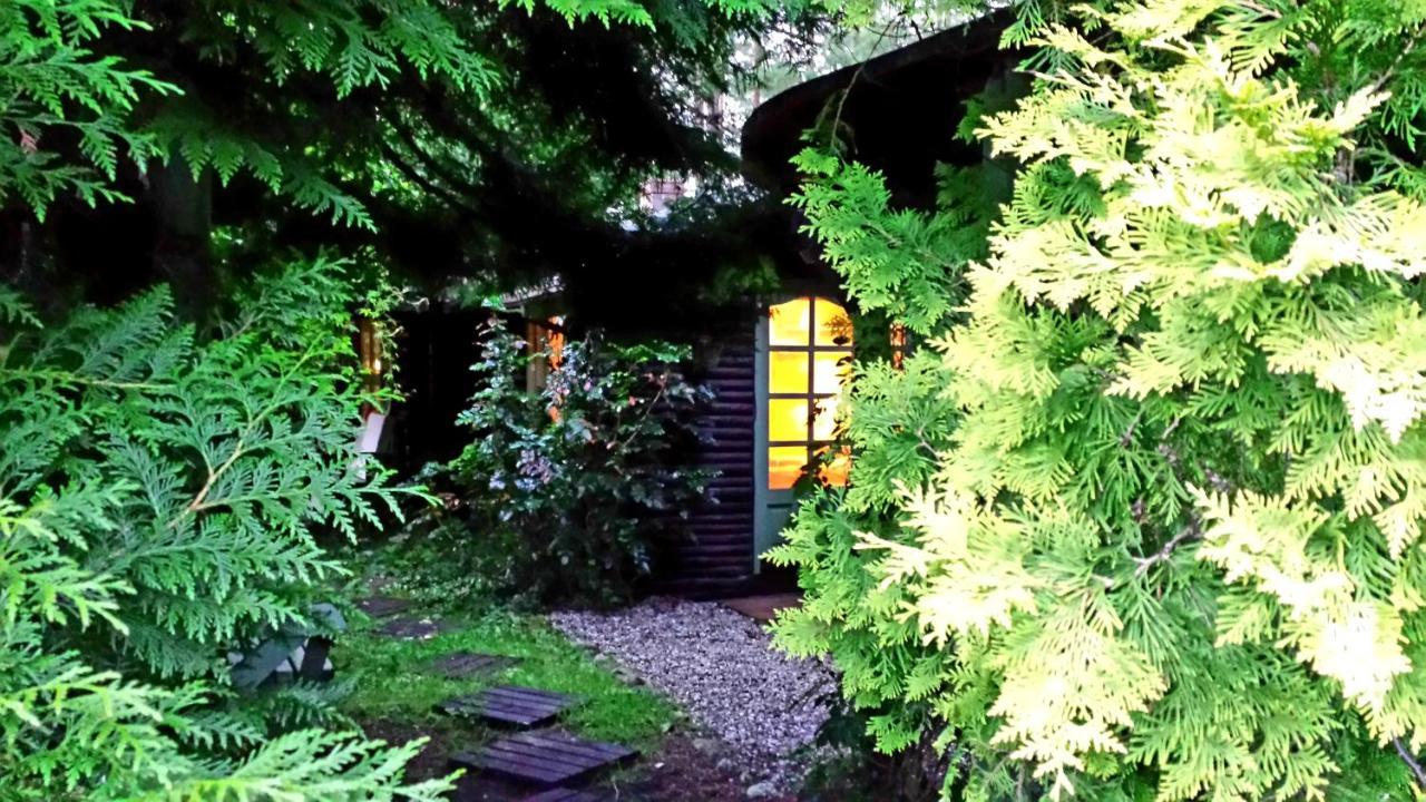 Domek Letniskowy Na Kaszubach Lub Apartament Z Kominkiem Puck Bagian luar foto