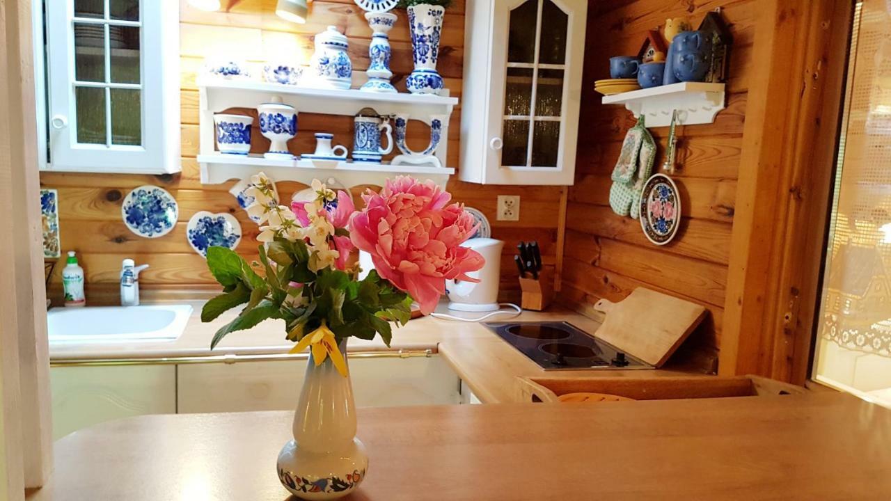 Domek Letniskowy Na Kaszubach Lub Apartament Z Kominkiem Puck Bagian luar foto