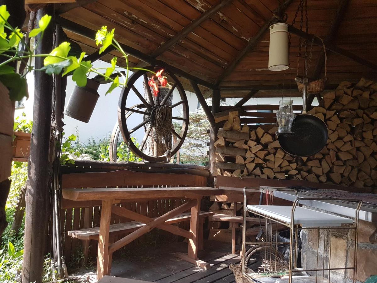 Domek Letniskowy Na Kaszubach Lub Apartament Z Kominkiem Puck Bagian luar foto