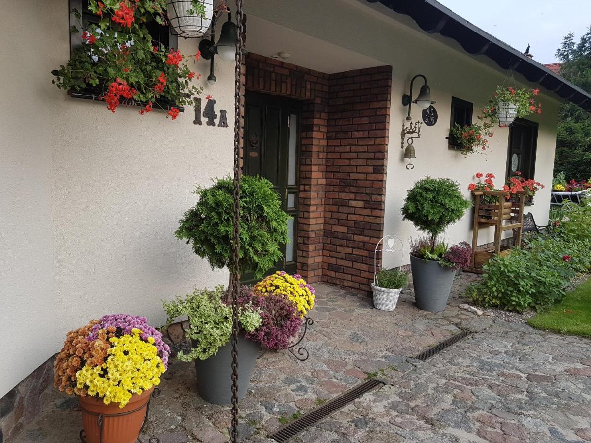 Domek Letniskowy Na Kaszubach Lub Apartament Z Kominkiem Puck Bagian luar foto