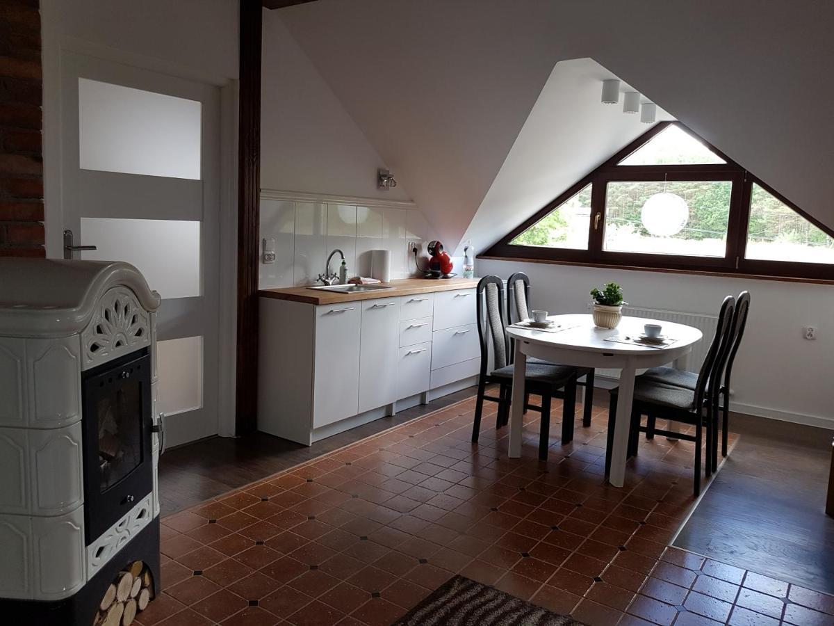 Domek Letniskowy Na Kaszubach Lub Apartament Z Kominkiem Puck Bagian luar foto